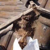 刈谷市でセメント瓦の下から鳥の巣がたくさん出てきてビックリした葺き替え工事